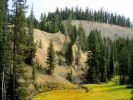 PICTURES/Annie Creek Trail - Crater Lake National Park/t_Pinnacles5.jpg